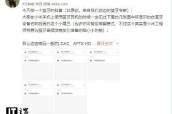 小米张国全:我们做了一个蓝牙编码的科普